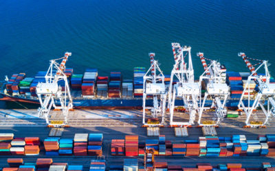 6 Ways NetSuite ERP Helps Transportation and Logistics Companies Succeed & Thrive