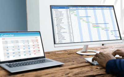 Supercharge your NetSuite productivity: Experience Blue Memento’s game-breaking timesheet software with ERP Success Partners