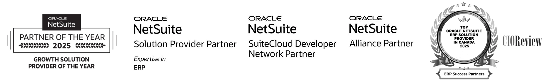 Top NetSuite Partner 2025 SP-SDN-ERP-2