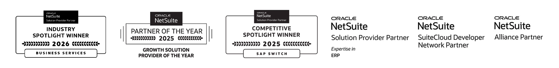 netsuite partner SP-SDN-ERP-2